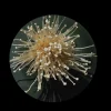 Oki-Enoki Dinner Plate Set