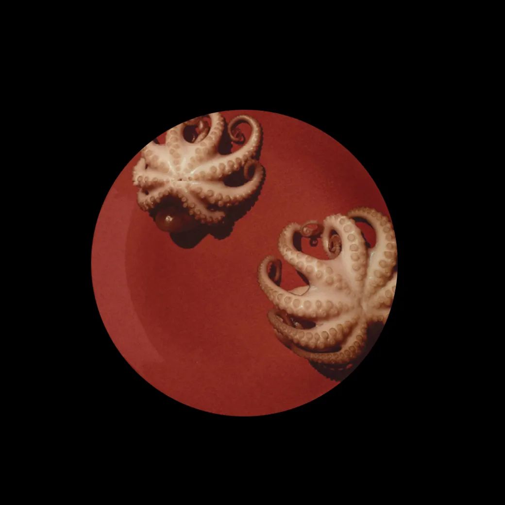 Polypous Dessert Plate Set