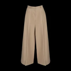 Wide Leg Pleated Trousers